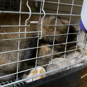 なにもそんなところで…の画像