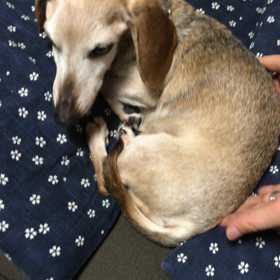 重たい術の画像