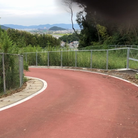 オンライン徳佐合宿1日目（トイプードル）の画像