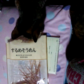 するめ狙う猫☆の画像