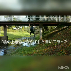 編集作業！の画像