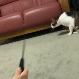 発熱外来に行かなきゃダメなの？コロナだったら既に自力で治ってるはず…の画像