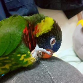 キョドる月曜日の画像