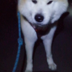 温かい静岡にしては猛烈に寒い朝❗しかも風が強い‼️それでも未来丸ゴロ寝座り込み休憩をしながら、元の画像