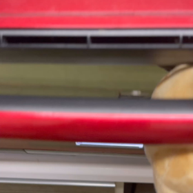 腹割れた！スコーン！の画像