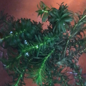 そ〜っと覗くと‥‥の画像