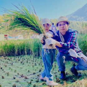 5歳　　11/5   まとめの画像