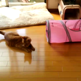 トンネルの画像