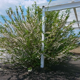 美容室エマーブルの画像