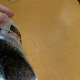 ペロペロの画像