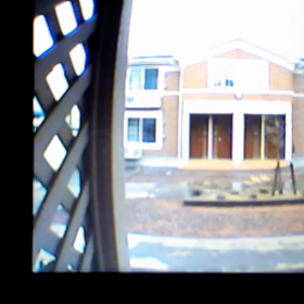 皆さんに見られたい一心で今朝もうちの前でのパフォーマンスが止まりませーんの画像