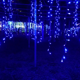 7.はじめての動画の画像