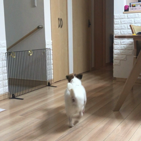 うるさいって〜〜 ( *｀ω´)の画像