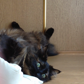 エナとあーちゃんの画像