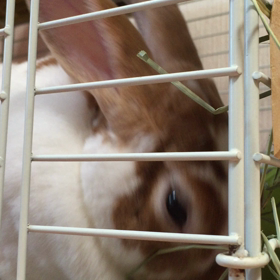 平和と悩みの画像