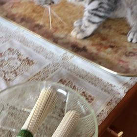 夏は素麺だよねの画像