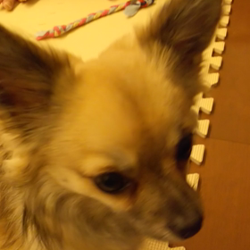 お口あーん 進化版の画像