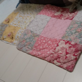 新しい猫じゃらし。の画像