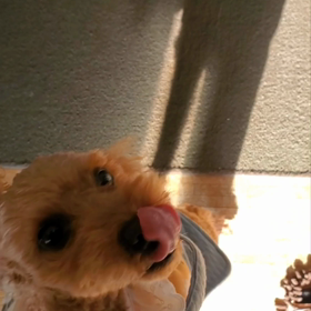 スマホ。。。の画像