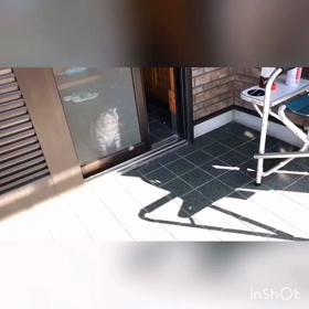 お休みの本日の画像