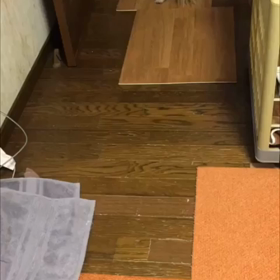 コロ走る！！！の画像