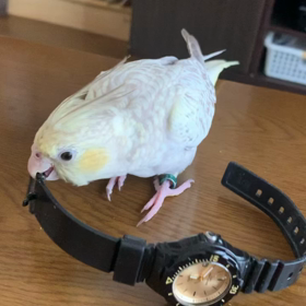 大丈夫かなの画像