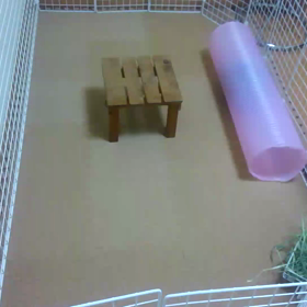 手作りサークルに慣れたさんりの画像