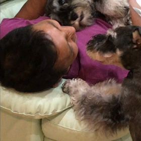 コニファーのひとしずくの画像