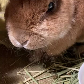 くぅたろ…の画像