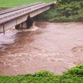 ひょえーの画像