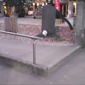 お出迎えをしてくれる招き猫の画像