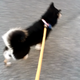 お泊まり★ひなちゃんの画像