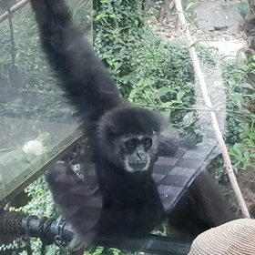 ストーリー♪の画像