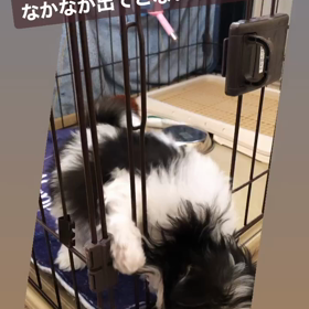 募集中の♡・・マルチくん♡の画像