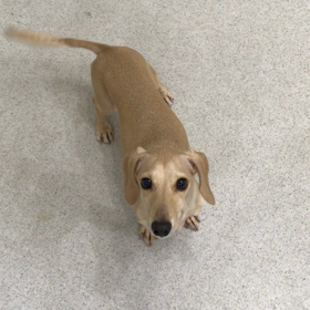 ♪プレイルーム動画♪の画像