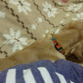 福くん、お誕生日おめでとう！！の画像