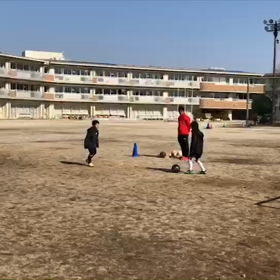 花粉が、、、の画像