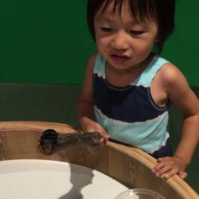 デビューの画像