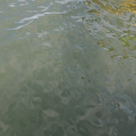 ★モーニング！イマナーカー*\(^o^)/*★の画像