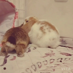 かな&まこ✨の画像