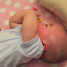 コツっとね。の画像