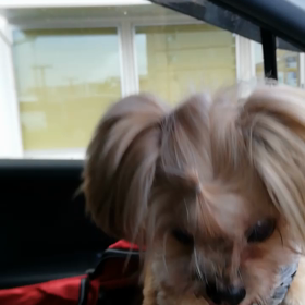 「えぬ…」って言った?（笑）の画像