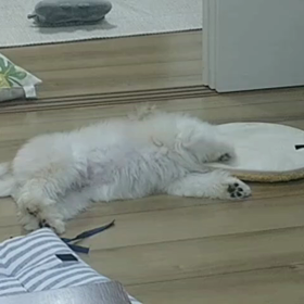 いつになったら落ち着く？の画像