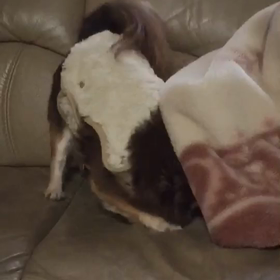 ひとり遊びの画像