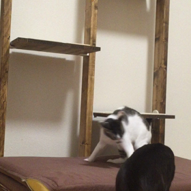 闘いの記録の画像