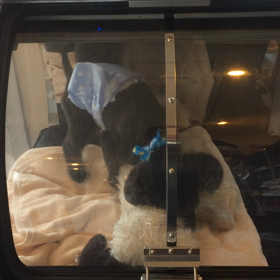 ⬛️8/2〜8/8＊酸素カプセルご利用のお友達⬛️の画像