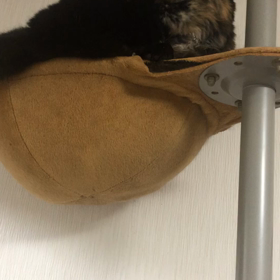 歳月は早し　日々の積み重ねとともにの画像