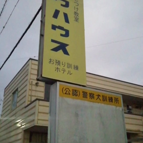 未来丸拉致現場突入❓犯人は飼い主自身‼️実は昨日から未来丸の分離不安対策で警察犬訓練所でもあるバの画像