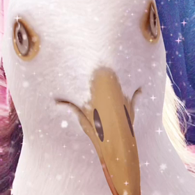 March(＊●∧●＊)の画像