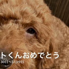 アルトくんおめでとう^ ^の画像
